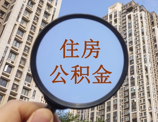 诸城退休后查不到公积金明细了吗（退休后公积金查询不到原因）